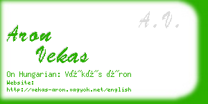 aron vekas business card